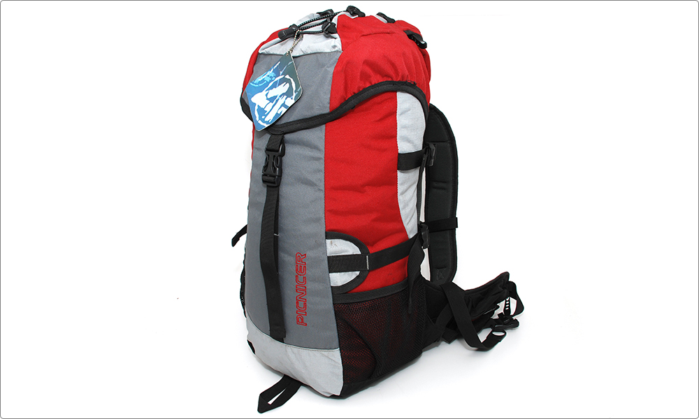 Plecak turystyczny Picnicer 30L 4F Sport Performance