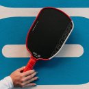 RAKIETA DO PICKLEBALL JOOLA AGASSI PRO IV 14 MM