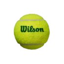 PIŁKI TENISOWE WILSON STARTER GREEN - KARTON 18 X 4 SZT