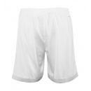 SPODENKI LOTTO DRAGON TECH SHORT WHITE MEN