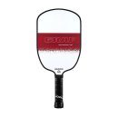 ZESTAW DO PICKLEBALL JOOLA AGASSI / GRAF CHAMPION SET