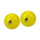 ZESTAW DO PICKLEBALL JOOLA ESSENTIALS SET